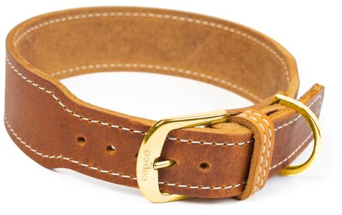 CopcoPet Hundehalsband Leder – Handgefertigtes Lederhalsband für mittelgroße, große Hunde – Halsband Hund – Verstellbar & Robust – Zoe, Cognac, 35 – 40cm 40mm breit, Messing Beschläge