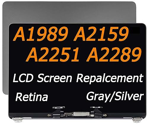 DZLQS A1989 A2159 A2251 A2289 - Pantalla LCD de repuesto compatible con MacBook Pro de 13 pulgadas 2018 2019 2020 años Retina (gris espacial)