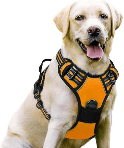 Premium 2.0 Sannyxi Geschirr Brustgeschirr Für Kleine Hunde (Orange,M)