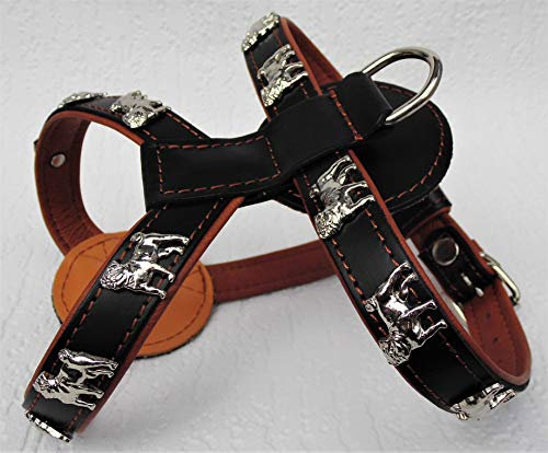 Unbekannt HUNDEGESCHIRR - Geschirr, Brustkorb 49-56cm *MOPS* Leder- Rot, Blau, Schwarz, Weiß, Cognac (1278) (Schwarz-Cognac)