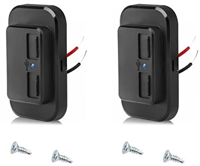 JOLIGAEA 2 Stück Dual USB Ladegerät Steckdose, 12V-24V 4.8A Auto Steckdose, Wasserdicht USB Ladebuchse Panel für Fahrzeuge KFZ Boot Motorrad Wohnmobil