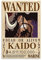 NANXIANG Anime One Piece Wanted Poster Kaido Wandkunst Poster Drucke Home Decor Bild Leinwand Malerei Poster 30 x 45 cm
