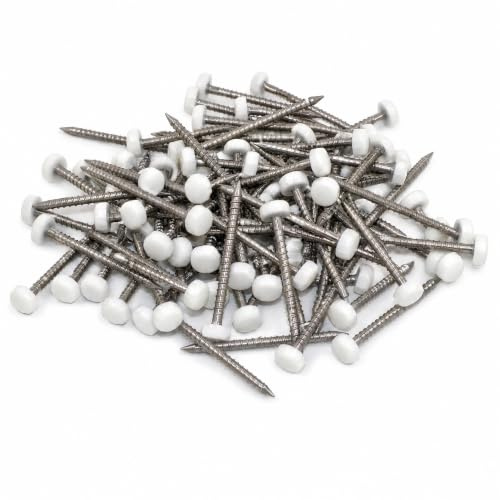 HomeSmart UPVC Panel Pins 30mm Poly Top Pins Nails Plastic Headed Fascia Fixings Strop Grip Durable Stainless Steel Roofing Nails Secure Hold PVC Cladding Pins for Home Projects (1000, 30mm)