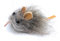 Purrs Mini Mouse attachment- Fits PurrSuit, Frenzy & DaBird wand Cat Toys