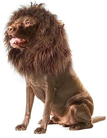 Onmygogo Löwenmähne Perücke für Hunde mit Ohren, lustige Haustierkostüme für Halloween Weihnachten (Größe L, Kaffee)