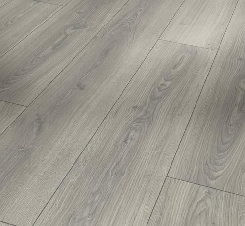 Parador Dekorboden Laminat Trendtime 6 Eiche Studioline lichtgrau Naturmattstruktur Schlossdiele 4-V-Fuge