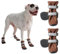 Spark Paws Wasserabweisende Hundeschuhe für mittelgroße und große Hunde, rutschfeste reflektierende Hundestiefel für Regen, Schnee, Wandern, 4er-Set - Brown, C