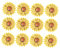 DIYEAH 12 StüCk Sonnenblumen Pailletten Stickerei AufnäHer Zum AufbüGeln Oder AufnäHen,Vintage-Stickerei-Patches zum Reparieren von Kleidung, Jacken und Jeans