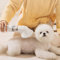 Oreilet 2 Po en 1 pour Animaux Compagnie Aspirateur, Aspiration D'aspiration Efficace Kit D'aspirateur Brosses à Perte Toilettage avec 2 L de Grande capacité pour Chiens Chats