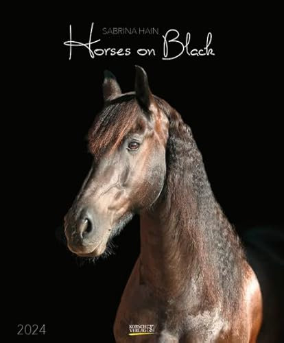 Horses on Black - Kalender 2024 - Art-Format - Sabrina Hain - Korsch-Verlag - Fotokalender - 55 cm x 45,5 cm