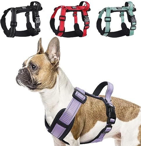 LiebeDD Hundegeschirr Lila XL - Brustgeschirr Hund Mittel Reflektierend Anti Zieh Hunde Geschirr Hund Zuggeschirr Gepolstert mit Griff Dog Harness für Welpen Kleine und Mittelgroße Hunde