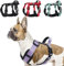 LiebeDD Hundegeschirr Lila XL - Brustgeschirr Hund Mittel Reflektierend Anti Zieh Hunde Geschirr Hund Zuggeschirr Gepolstert mit Griff Dog Harness für Welpen Kleine und Mittelgroße Hunde