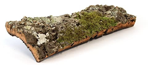 sphagnum-shop.com Korkröhre 1 STK. 50cm | Korkschale | Korktunnel Halbbogen | Reptilientunnel aus Korkrinde