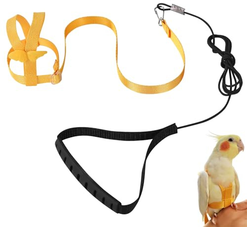 Harnais réglable pour Perroquet Laisse pour Animal Domestique Corde Anti-Morsure Sangle élastique pour Oiseaux perroquets cacatoès aras