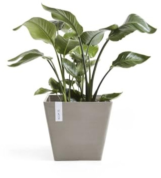 Ecopots Rotterdam Blumentopf quadratisch 50x50x50cm UV-beständig & langlebig