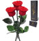 Yamonic Infinity Rose mit Stiel Geschenke für Frauen,Echte Rose Geburtstagsgeschenk für Frauen Ewige Rose in Geschenkbox Geschenke für Mama,Konservierte Blume zum Weihnachten, Deko Geschenk, 3 Rosen