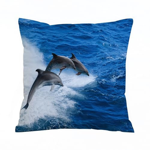 ERRTU Kissenbezug 50x50 cm,Baby-Meerestier Delphin springt aus dem Meer,Dekokissen Kissenbezüge Deko Kissen Bezug Wohnzimmer Zierkissen für Sofa Stuhl Bett Garten