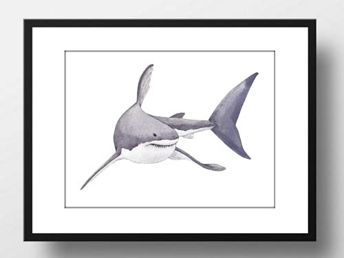 Din A4 Kunstdruck ohne Rahmen - Weißer Hai - Hai Fisch Meer Badezimmer Aquarell Maritim Poster Bild