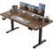 Homall Höhenverstellbarer Schreibtisch 140x70 cm, Elektrischer Schreibtisch mit Vierteilige Tischplatte, Computertisch mit Memory Funktion,Standing Desk