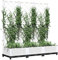 Jardinière avec Treillis, Bac à Fleurs pour Plante Grimpante Lit de Jardin Surélevé Jardinière avec Treillis Blanc 120x40x121,5 cm PP