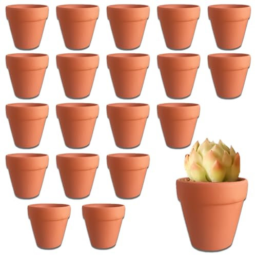 DYOUen 20 Pcs Terrakotta Töpfe 3x3 cm Mini Pflanzen Töpfe Keramik Blumentöpfe für Innen/Outdoor Kaktus Sukkulente Haus Pflanzen