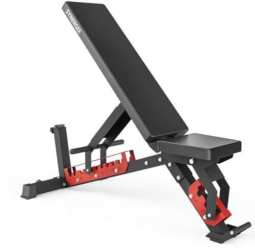 Synergee Verstellbare Wing Back Workout Bank Hantelbank für Hantel- & Langhantelpressübungen & Workouts Ideal für Gewerbe, Garage und Heim-Fitnessstudio.