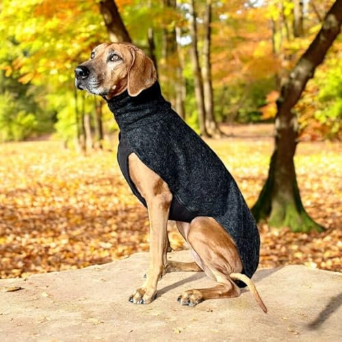 EDEL&SCHNELL Hundemantel wasserdicht, Woll-Wintermantel für Ridgebacks, Dalmatiner, Weimaraner und andere schlanke Rassen, Hunde Wintermantel Größe 75-80