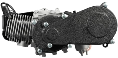 49CC 2-Takt Motor aus Aluminium mit Vergaser Luftfilter Seilzugstart elektronische Zündung luftgekühlt 1,7 kW Nennleistung passend für Mini-Dirtbike Strandfahrrad Quad Roller Quadfahrzeug