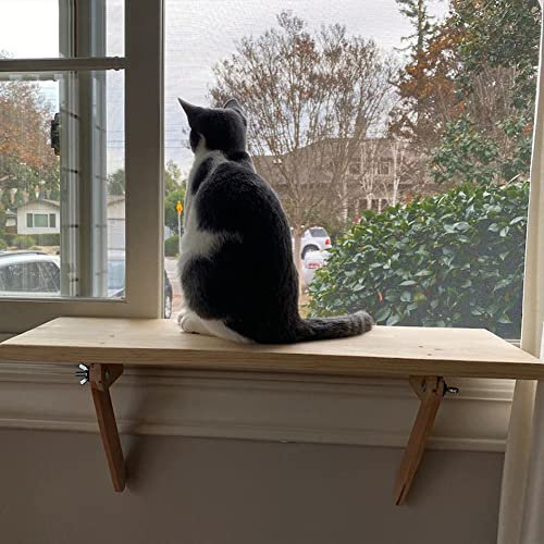 MOTT 50 Sturdy Wood Cat Window Perch,No Suction Cup Cat Window Hammock,Cat Window Shelf Platform,Cat Window Seat Bed,No Drill,Holds Up to 10kg