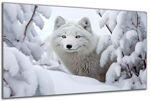 DARO Design - Wand-Bild auf 6mm HDF 30x20 cm Schnee-Wolf weiß - Wand-Deko Bilder Geschenk