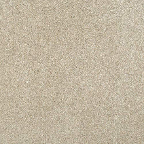 247Floors Saxony Carpet 17mm Thick Flecked Stain Resistant Actionback (Beige, 3m x 5m)