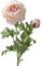 matches21 Ranunkel 1 Blüte & 1 Knospe Kunstblume künstliche Blume Kunststoff 1 STK - Ø 7x40 cm - rosa
