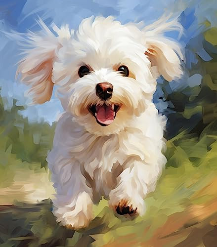 XHHZ Tier Hund Malen nach Zahlen Paket Ölgemälde 16'' x 20'' Bretter nach Zahlen Heimdekoration für Kinder Handarbeit Kunst-Malteser Hund