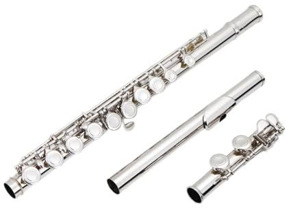 Flauto Accademia professionale di esibizioni di flauto per principianti Flauto intagliato placcato in argento a 17 fori a foro aperto + custodia