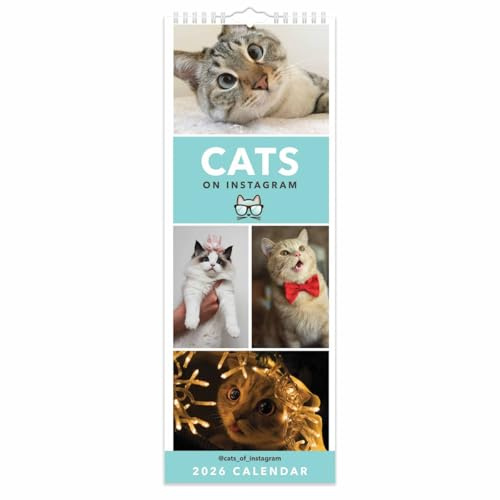 Cats On Instagram Slim Calendar 2026, Wall Calendars, Month To View, Gift