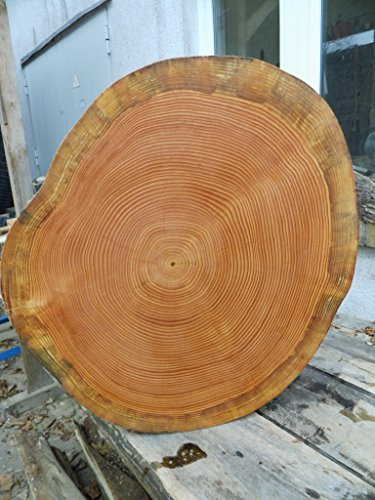 KJR Holzmanufaktur Baumscheibe, Holzscheibe,ca.50x7 cm, basteln, Holz, Douglasie, geschliffen und geölt