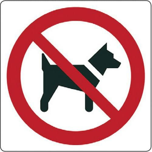 NEW CARTELLO SEGNALETICO QUADRATO - Vietato l'ingresso ai cani - Adesivo Extra Resistente, Pannello in Forex, Pannello In Alluminio (ADESIVO 20 CM)