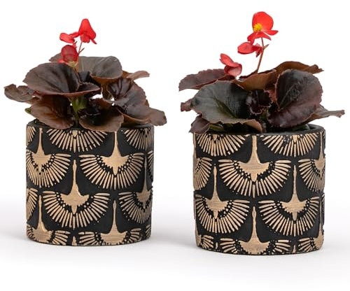 Vimin Box Coppia di Vasi in Terracotta, decorati a mano, NERO e ORO, per Piante e Fiori, Decorazione Casa, Diametro 11cm - 11cm (Nero/Oro, 2x S)