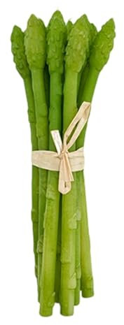 Fenteer Verdura artificiale, simulazione di verdura finta, modello di finta da disegnare, Asparagi 20x6cm