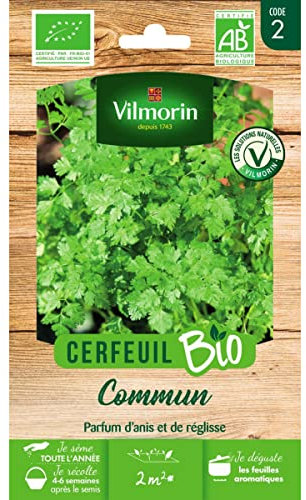 Vilmorin Sachet graines Cerfeuil Commun Bio - Anthriscus cerefolium