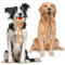 Nobleza - Hundespielzeugseil aus 100% Baumwolle, das der psychischen Gesundheit des Hundes zugute kommt ， Zahngesundheit und Zahnreinigung Arten von Hunden- 28 cm