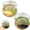Dollhouse Fish Tank 2 Set 1:12 Scale Simulation Miniature Fish Bowl Toy Dollhouse Decor for Living Room Dollhouse Accessories, Round .