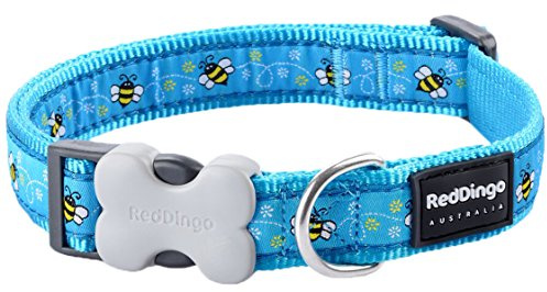 Red Dingo Bucklebone Dog Collar Design, Bumble Bee Turquoise, Large 25mm