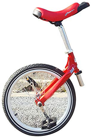NANANA Einrad 20 Zoll Heimtrainer Fahrrad mit Alu-stahlfelgen Sattelstütze mit Schnellspanner in 5, Erwachsenentrainer Einrad Skidproof Butyl Mountain Reifen Balance Radfahren Heimtrainer Fahrrad