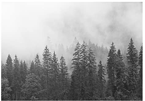 Fototapete Schwarz Weiß Wald Nebel Landschaft Grau Bäume Wohnzimmer Schlafzimmer Wandtapete Vlies Tapete UV-Beständig Montagefertig (13909, V8 (368x254 cm) 4 Bahnen)