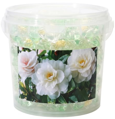 100 Waschmaschinen-Pads, 5-in-1 Kamelien-Waschmittel-Pods, konzentrierte Sauberkeit und langanhaltende Frische, Wäsche waschen