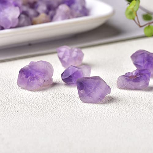 BAWHO Pierre Naturelle Améthyste Forme Aléatoire Pierre Fish Tank Décoration de La Maison, Livraison Aléatoire, 100g QINTINYIN (Color : Random Delivery, Size : 100g)