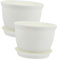 IWOWHERO 2 Sätze runder grüner Dill-Blumentopf saftige Töpfe Garten pflanzer Topf Blumentöpfe im Freien Orchid Pot orchideentöpfe frühlingsdeko im freien saftiger Blumentopf Plastik Weiß