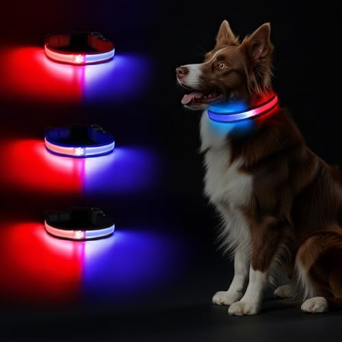 Pewkim Leuchtend Halsband, LED Hundehalsband, Leuchthalsband Hund Aufladbar, Einstellbar Wasserdicht mit 2 Lichtmodi Hunde Leuchthalsband für Kleine bis Große Hunde Nachtspaziergäng Schwarz M