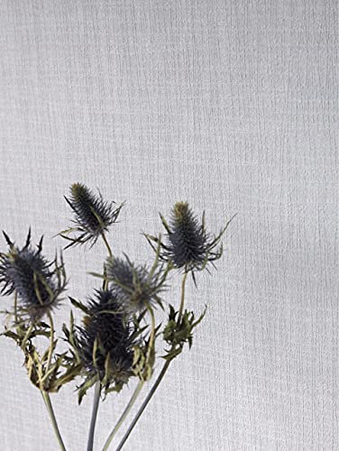 Newroom Tapete Grau Vliestapete Einfarbig - Unitapete Uni Struktur Modern inkl. Tapezier-Ratgeber